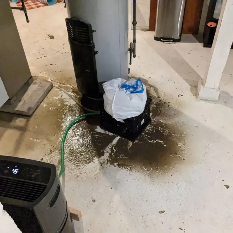 Sewage Backup Cleanup Service in Ellijay, GA